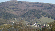 zdjecie