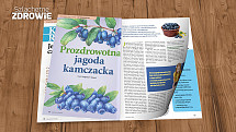 zdjecie