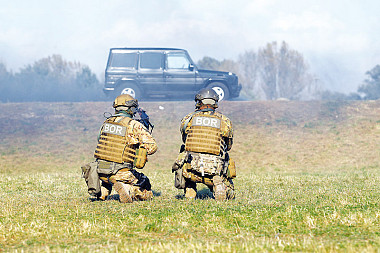 zdjecie