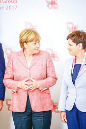 zdjecie