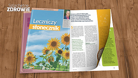 Leczniczy słonecznik