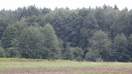 Prognoza pogody na dziś