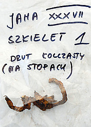 zdjecie