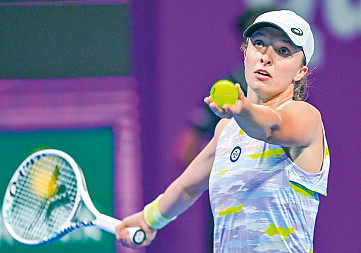 zdjecie