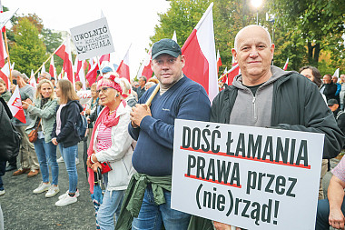 zdjecie