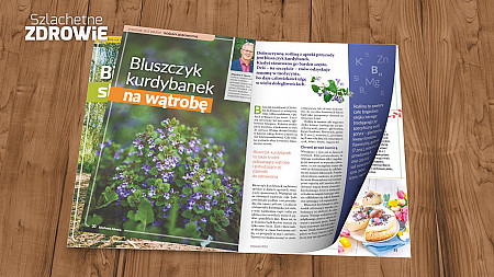 Bluszczyk kurdybanek na wątrobę