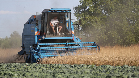 Obawy o plony