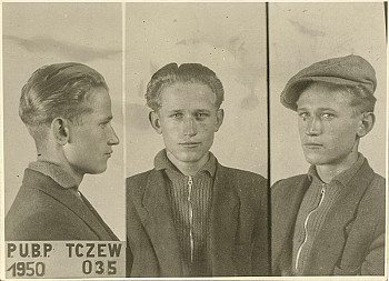 zdjecie