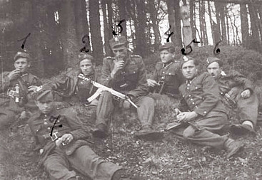 zdjecie