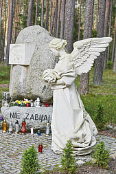 zdjecie