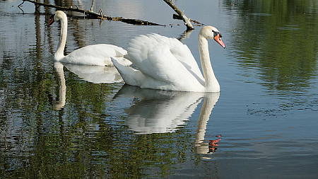 Prognoza pogody na 23 i 24 marca