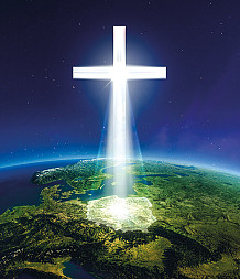 zdjecie