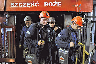 zdjecie
