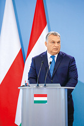 zdjecie