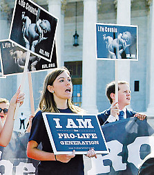 zdjecie