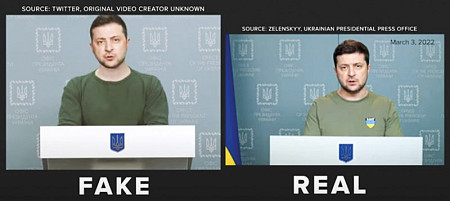 zdjecie