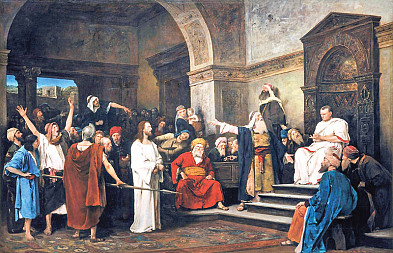 zdjecie