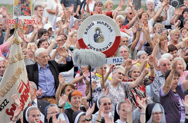 zdjecie