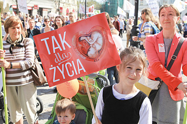 zdjecie