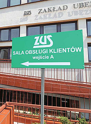 zdjecie