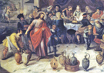 zdjecie