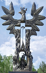zdjecie