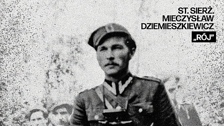 Odnaleziono „Roja”