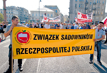 zdjecie