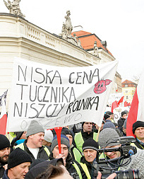 zdjecie