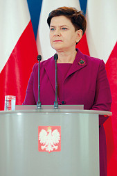 zdjecie