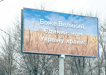 zdjecie
