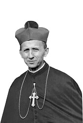 zdjecie