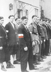 zdjecie