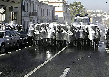 zdjecie