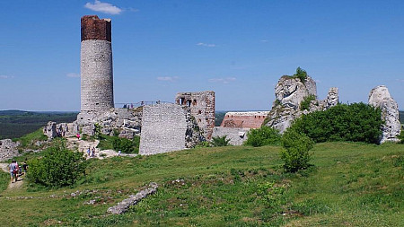 zdjęcie