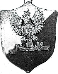 zdjecie