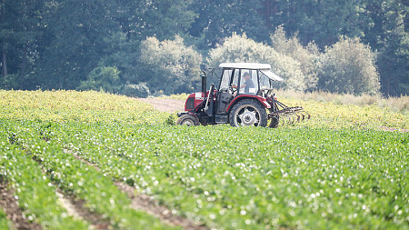Na granicy opłacalności