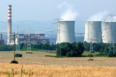 zdjecie