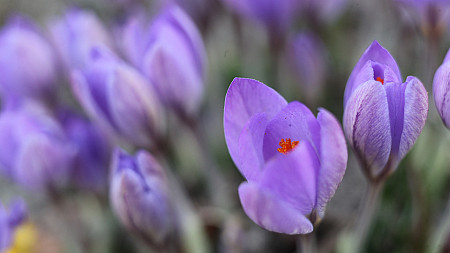 Prognoza pogody na dziś