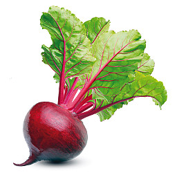 zdjecie