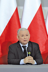 zdjecie