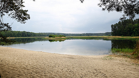 Prognoza pogody
