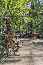 zdjecie