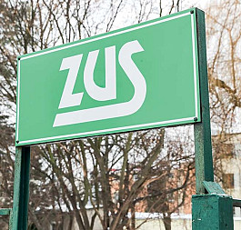 zdjecie