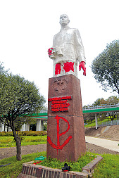 zdjecie