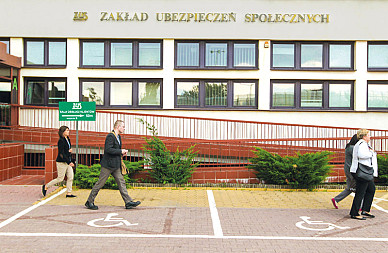 zdjecie