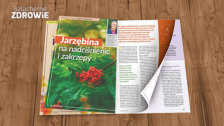Jarzębina na nadciśnienie i zakrzepy