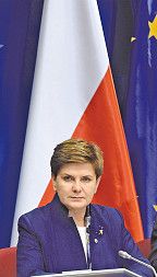 zdjecie