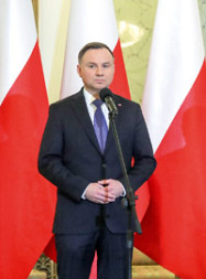 zdjecie