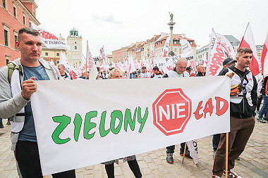 zdjecie